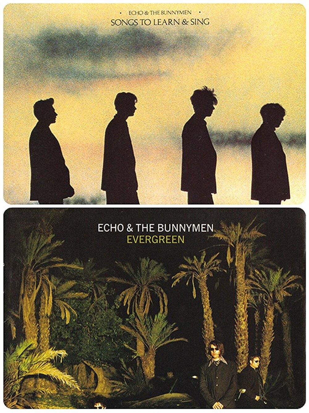 Echo & The Bunnymen 2 CD Bundle